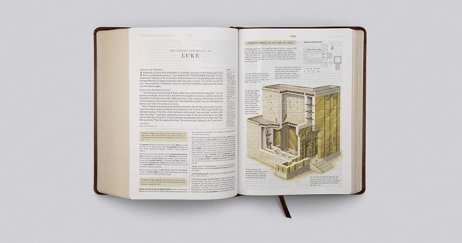ESV Study Bible (TruTone, Walnut, Celtic Imprint Design) thumbnail 5