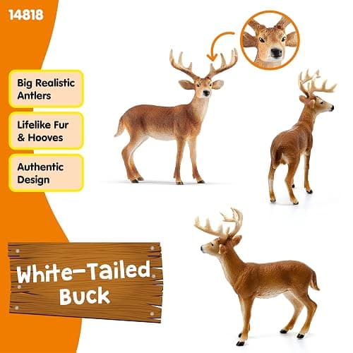Schleich Wild Life - White Tail Buck Deer Figurine - Realistsic Wild Animal Figure for Boys and Girls - Educational Toys for Kids Ages 3+ | 14819 thumbnail 3