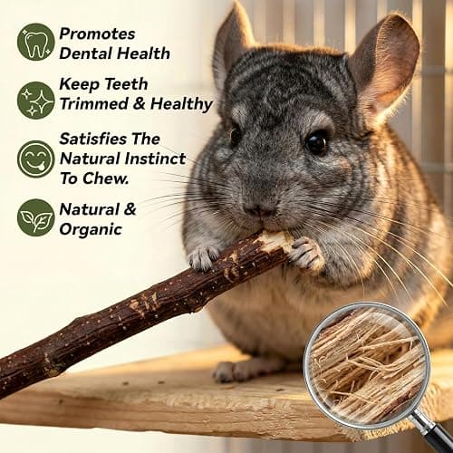 Sukh Natural Organic Apple Sticks - 250g Hamster Chew Stick Hams Rabbit Bunny Gerbil Guinea Pig Squirrel Chinchilla Small Animal Chew Sticks thumbnail 3