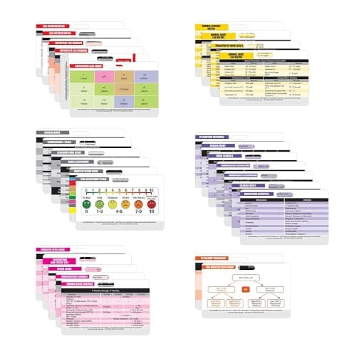 Nurse Nation 30 Horizontal Nursing Badge Reference Cards - Lab Values, EKG, Vitals, and More! (Bonus Cheat Sheets) Great Nurse Gifts - Nursing Student Accessories and Supplies! - Image 1