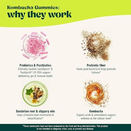 BoochBod - Probiotic Kombucha Gummy - Prebiotics, Probiotics, Postbiotics, Fiber Supplement, Slippery Elm, Dandelion Root, MCT Oil, for Bloating, Gut Health - Probiotics for Women and Men thumbnail 3