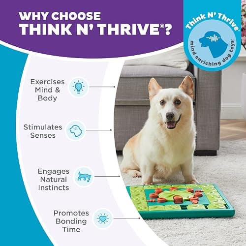 Outward Hound by Nina Ottosson MultiPuzzle – Interactive Dog Treat Puzzle Enrichment Toy, Level 4 Expert thumbnail 6