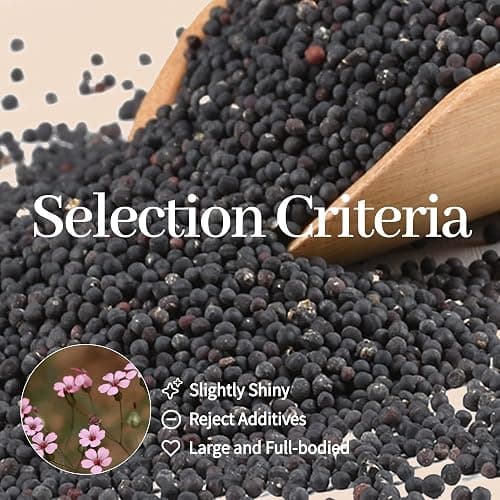 1200Pcs Ear Seeds Acupuncture Kit, Auricular Sticker Kit with Ears Seed, Acupuncture Pen, Acupressure Ear Chart, Tweezers thumbnail 7