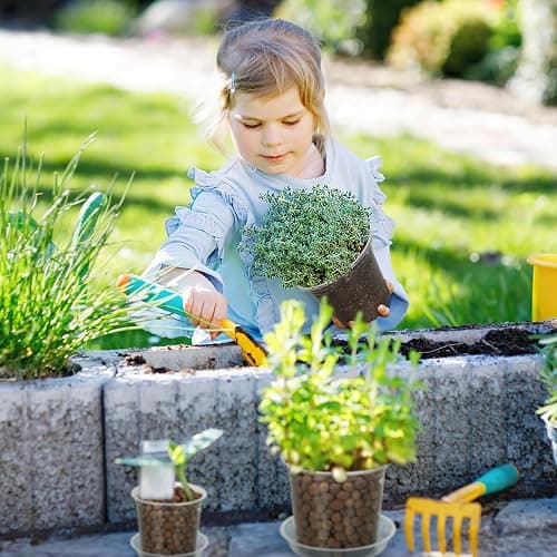 FUIJOL 4/5/6/7 Inch Clear Nursery Pots for Plants with Sacuers 20 Pack, Plastic Flower Pots with Drainage Holes, Variety Pack Seedlings Garden Pot for Indoor Outdoor (4+5+6+7 inch) thumbnail 7