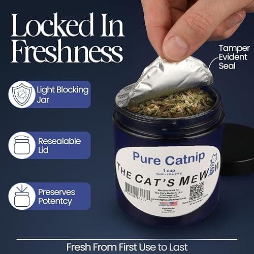 The Cat's MeWow 100% Pure Catnip – North American Grown – Strong Aroma for Play & Enrichment – Resealable Freshness Jar – Veteran-Owned Brand thumbnail 3