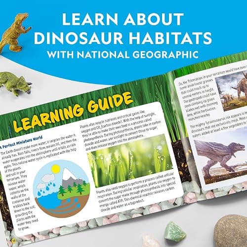 National Geographic Light Up Terrarium Kit for Kids - Build a Dinosaur Habitat with Real Plants & Gemstones, Science Kit, Dinosaur Toys for Kids (Amazon Exclusive) thumbnail 7