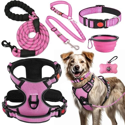 LOBEVE No Pull Dog Harness, Collar & Leash Set | Includes Dog Seat Belt, Collapsible Bowls & Poop Bag Dispenser. Ideal for Training, Walking, Hiking. Fits Small to Large Dogs(Pink-XL) - Image 1