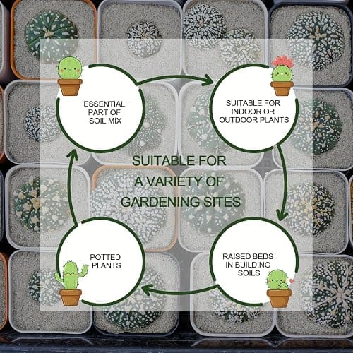 10QT Horticultural Perlite Bulk, Organic Perlite for Plants, Course Perlite for Gardening, for Plants Indoor, for Houseplants, to Promotes Soil Root Growth, and Water Drainage and Plant Growth(3-6mm) thumbnail 6