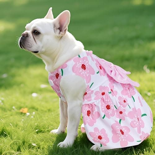 choyaxo Floral Dog Dress Cute Dog Skirt Pet Dress Summer Pet Clothes for Puppy Small Cats thumbnail 4