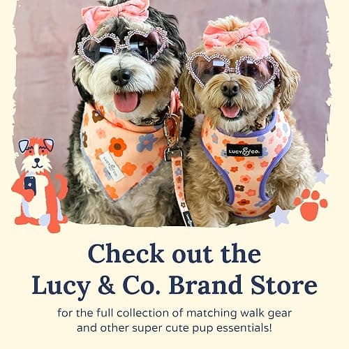 Lucy & Co. The Rosewater No-Pull Dog Harness - Size Large - Vest to Stop Pulling & Walk Easy - Comfortable Leash Training Product w/Adjustable Chest & Neck Straps thumbnail 6