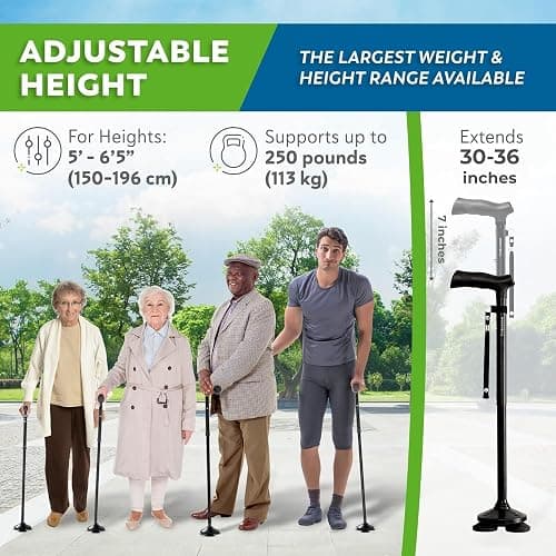 HONEYBULL Walking Cane for Men & Women, Foldable Free Standing Cane | Adjustable Height, Collapsible Design, Heavy-Duty, Pivot Base for Stable Support, Ergonomic Handle thumbnail 6