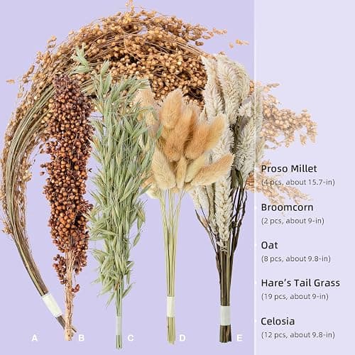 Niteangel Natural & Soft Hamster Bedding for Syrian Dwarf Hamsters Gerbils Mice Degus Bunny or Other Small-Sized Pet (Natural Poem Version) thumbnail 3