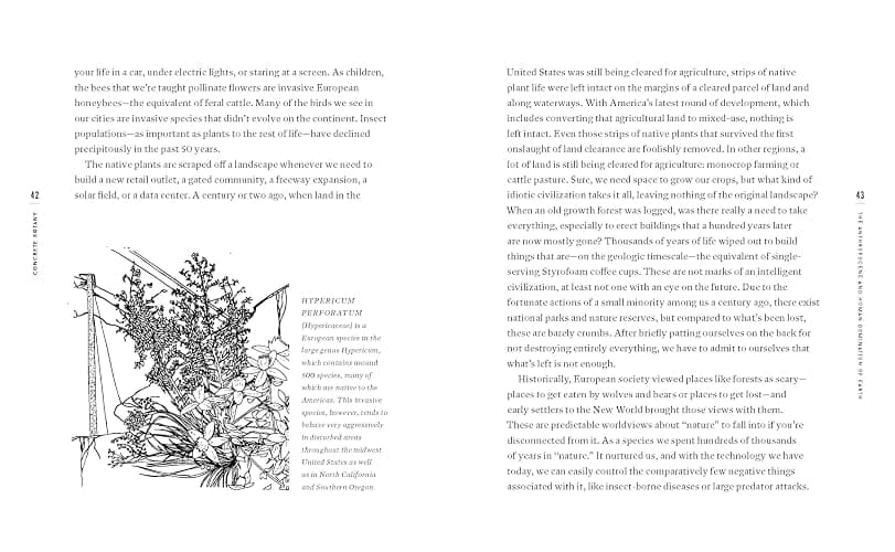 Concrete Botany: The Ecology of Plants in the Age of Human Disturbance thumbnail 8