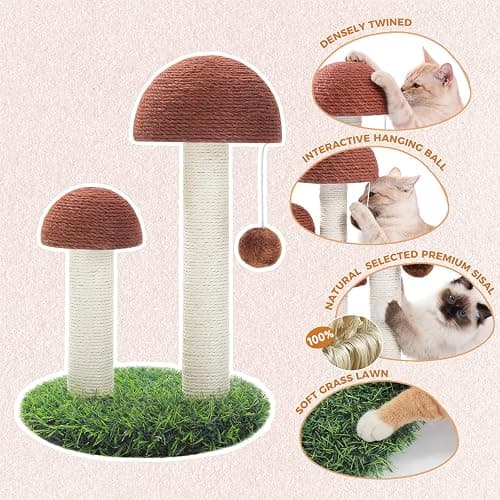 PETEPELA Cat Scratching Post, Mushroom Tall Cat Scratcher Featuring with Natural Sisal Scratching Poles and Interactive Toy Ball for Kittens and Small Cats (Brown) thumbnail 3