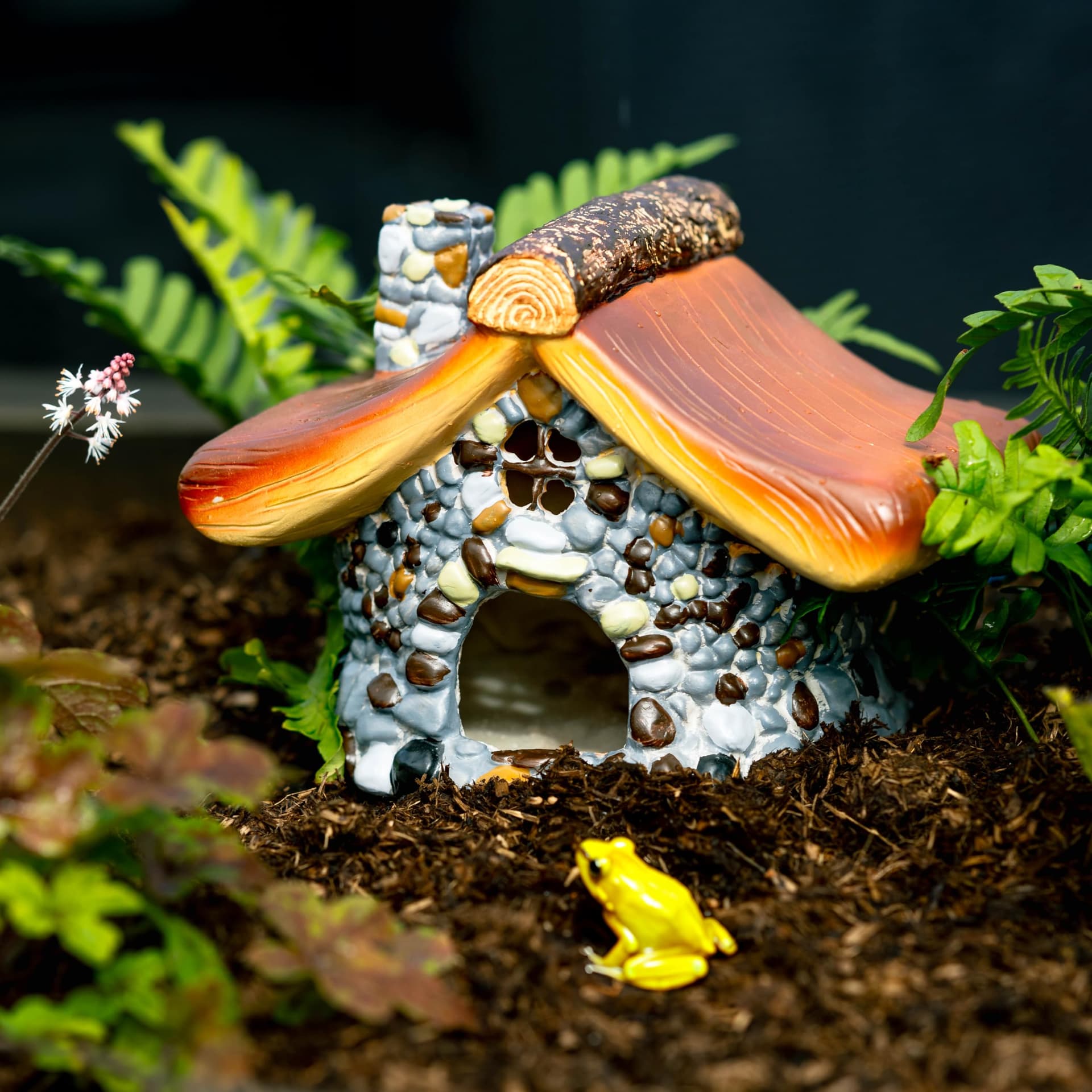 Garden Mile Mushroom House, Durable Resin, Hibernation Area, Shelter, Predator Proof, Outdoor Entrance, Feeding Area, Frog House, Outdoor Wildlife Entrance, Pet Cubicle thumbnail 10