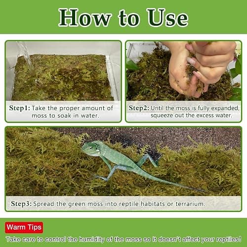 Halatool 1.1LB Natural Sphagnum Moss for Reptiles- 25QT Green Moss for Terrarium Plants Long Fiber Reptile Moss for Leopard Gecko Snake Hamsters Tortoises Frogs Lizards Salamanders thumbnail 5