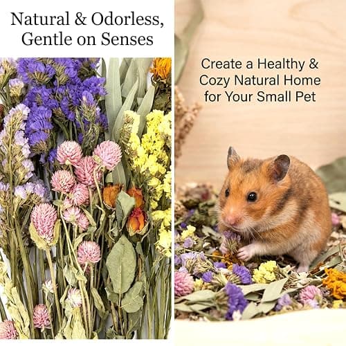 Sukh Hamster Bedding Sprays Habitat Decor - Natural Hamster Cage Accessories with Floral Forage, Layered Small Animal Habitat Decor for Hamster Enrichment, Syrian Hamster Hideout Cage Decor thumbnail 3