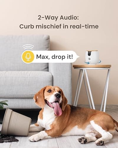 Furbo Mini 360° [New] 2K QHD Pet Camera: Dog & Cat Rotating Treat Dispenser w/Phone App, Smart Indoor Cam with 2-Way Speaker & Night Vision. No Subscription Needed. Standard See, Talk, & Toss Features thumbnail 7