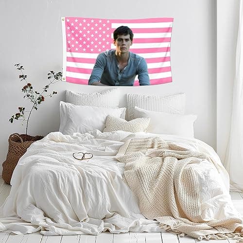 Shmbada Dylan O'Brien 3x5 Foot Decorative Flag with 2 Brass Grommets for Outdoor Indoor, Double Stitched, Wall Hanging Room Decor Tapestry, College Dorm Porch Outside Decorations Teen Wolf - Dylan O'Brien A thumbnail 4