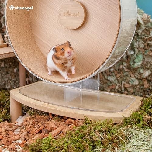 Niteangel Anti-Slide Hamster Wheel Platform: Medium Size & Elevates Height | Brand-Specific Compatibility: Designed exclusively for Niteangel Series Hamster Wheels and does not fit other brand wheels thumbnail 4