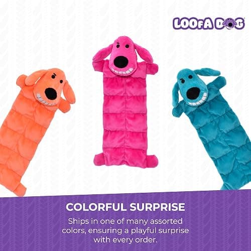 Multipet Original Loofa Dog Plush Toy Mat - Squeaky Toys for All Dogs - Extra Soft Plush - Stuffed Animal Dog Toys for Playing (1 Count, 12”, Random Color Surprise) thumbnail 4