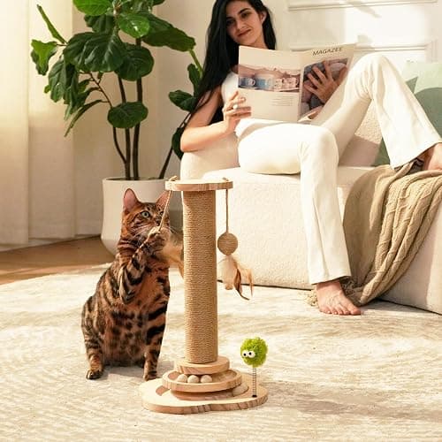 TINYBEAST Wooden Cat Scratching Post fot Kittens, 4 in 1 Cat Scratcher Toy with Cat Ball Tracks, 18" Tall Sisal Scratch Post for Indoor Kittens, Interactive Feather Toy and 2 Sisal Hanging Balls thumbnail 8