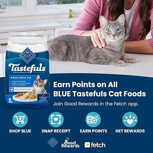 Blue Buffalo Tastefuls Adult Dry Cat Food Sensitive Stomach Formula, Made in the USA with Natural Ingredients, Chicken Recipe, 7-lb. Bag thumbnail 3