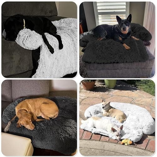 Calming Dog Bed Fluffy Plush Dog Mat for Furniture Protector with Removable Washable Cover for Large Medium Small Dogs and Cats (Extra Large (53x39.3x6), Light Grey) thumbnail 7