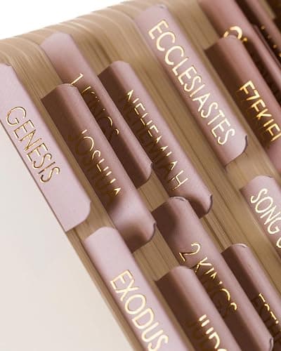 Bible Tabs for Women Study Bible, Embossed Matte Catholic Bible Tabs Gold, Laminated Bible Tabs, Bible Book Tabs w/Old & New Testament Neutral Bible Labels Tabs, Perfect Bible Study Supplies Oak thumbnail 2