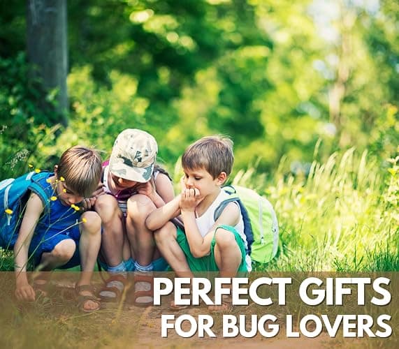 InnoBeta Entomology Gifts for Men and Women, Gifts on National Insect Appreciation Day, Birthday and Christmas, 7.8"x5" Embossed Refillable Notebook with Pen thumbnail 7