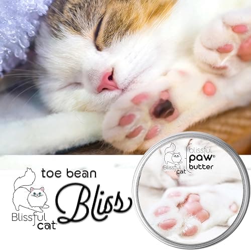 The Blissful Cat Paw Butter, Moisturizer for Dry Paw Pads, Softens and Protects Rough Feet, Versatile, Lick-Safe Balm, 2 oz. thumbnail 2