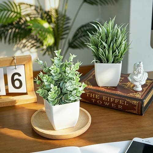 Der Rose 2 Pack Fake Plants Small Plants for Bathroom Office Decor | Mini cute faux plants, table desk home laundry room entryway decor, bathroom classroom decor, maintenance-free thumbnail 5