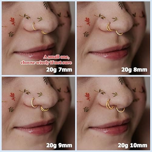 BodyBonita 3pcs Nose Rings Hoops - Double Hoop Nose Ring 14/16/18/20G Hinged CZ Piercing Jewelry Septum Clicker Rings Cartilage Earring Helix Rook Tragus Daith 7mm/8mm/9mm/10mm thumbnail 3