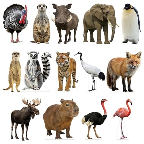 EnjoyView Eagle 3FT Life Size Cardboard Cutout, Fun Animal Standup, Perfect for Events, Party Decor, Birthday and Photos, 1 PC thumbnail 8