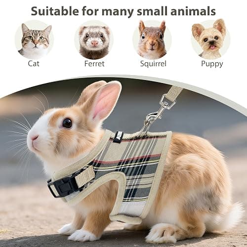 AIITLE Adjustable Bunny Harness & Leash Set - Soft Mesh Liner, Comfort Fit Plaid Pattern Vest with Magic Tape Design, Portable for Small Animal Pets Puppy Cat Rat Squirrel Ferret, Beige L thumbnail 6