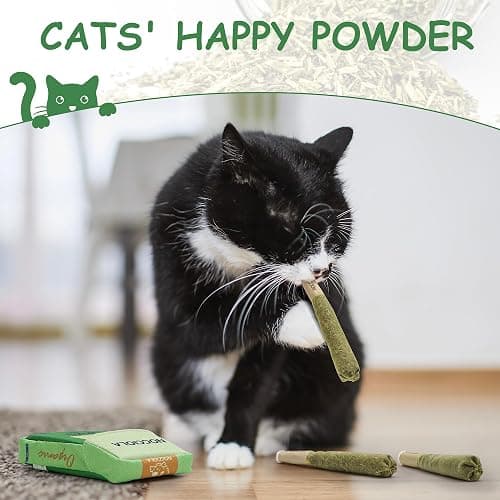 Nocciola 3 Pack Catnip Toys for Cats, Funny Cat Toys Filled with 100% Pure Organic Catnip, Safe Kitten Teething Chew and Kicker Toys, Stress Relieving Fun for Indoor Cats thumbnail 4