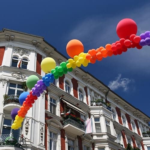 Runesol Demigirl Pride Flagge, 91x152 cm, 4 Ösen, eine in jeder Ecke, Gay Pride Flagge, LGBT+ Flagge, Pride Fahne, Premium-Fahnen für drinnen und draußen, lebendige Farben, Festival Parade Feier thumbnail 3