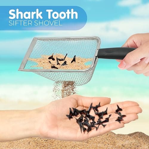 4E's Novelty 2X Shark Tooth Sifter for Beach with 2X Small Mesh Beach Bag for Shell Collecting, Metal Sand Scoop for Picking Up Shells - Beach Toys for Kids (2 Sets) thumbnail 2