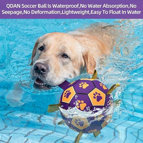 QDAN Extra Large Dog Toys Soccer Ball - Durable Dog Balls for Extra Large Dogs with Straps, Interactive Dog Tug Toy with Strap for Tug of War (9 Inch) thumbnail 6