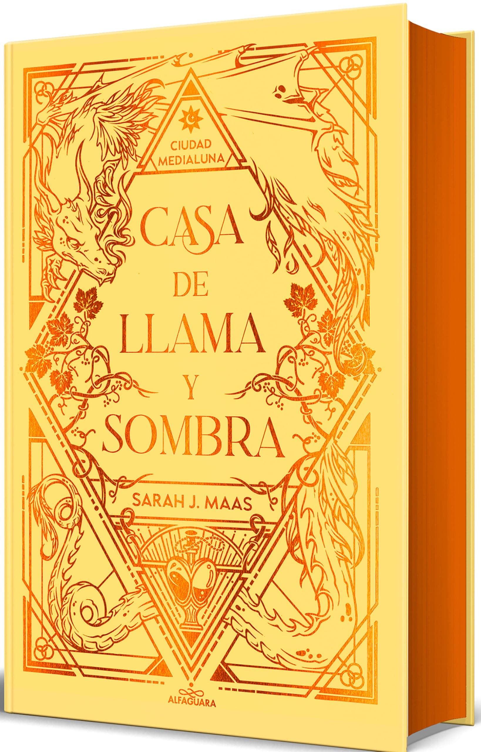 Casa de llama y sombra (edición especial limitada) (Ciudad Medialuna 3) - Image 1