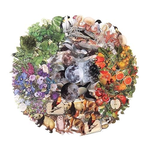 NOGAMOGA Nature Themed Transparent Pre-Cut Stickers for Scrapbooking, Pack of 240, Flora and Fauna Vintage Aesthetic Decorative Decals for Journaling Photo Album Collage Card Making Crafts - Image 1