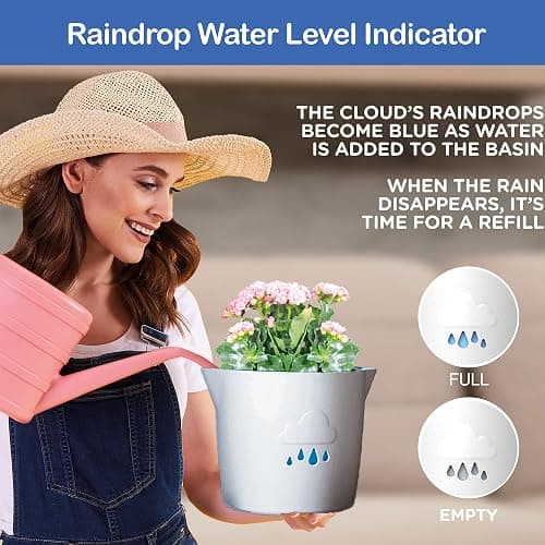 King's Gardening Clever Pot - Self Watering Pot for Indoor Outdoor Use, Animated Cloud Water Level Indicator, UV Resistant Planter, Ideal for Flowers, African Violets, and More 8" (Pearl Cloud) thumbnail 3