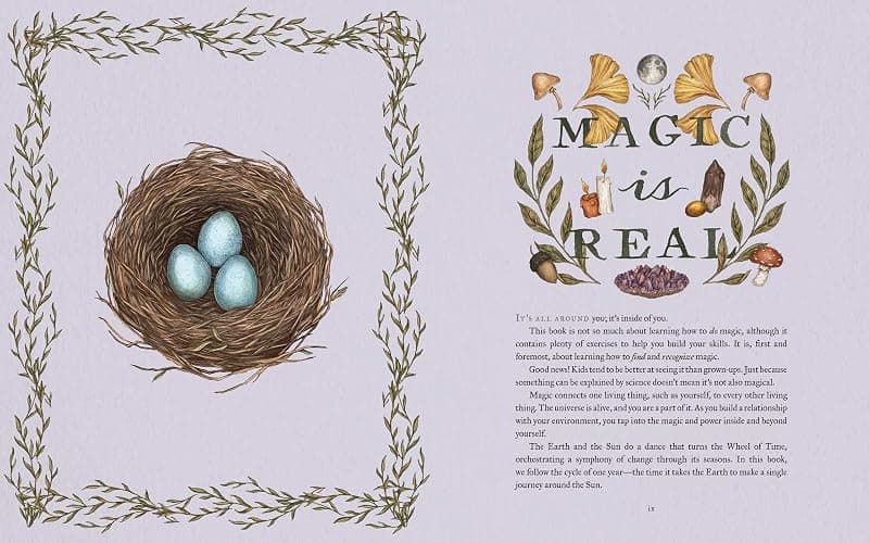 The Wheel of the Year: An Illustrated Guide to Nature's Rhythms thumbnail 3