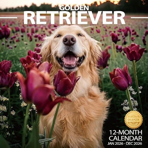 2026 Wall Calendar Golden Retriever Planner Calendar, Hangable Monthly Wall Calendar with Large Blocks for Organizing & Planning, Academic Schedule, Home, Office & family, Thick & Sturdy Paper (12"x24" Open) - Image 1