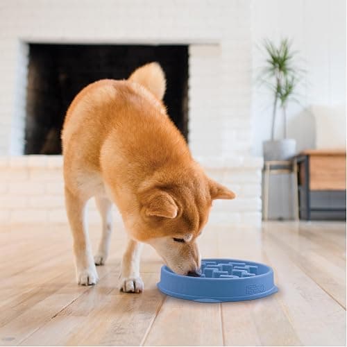 Outward Hound Medium Slow Feeder Bowl, Puzzle Maze for Fast Eaters, Small to Medium Dogs, Helps Prevent Bloat & Aid Digestion, Holds 2 Cups Wet or Dry Food, Non-Slip, Made Without BPA, Blue thumbnail 6