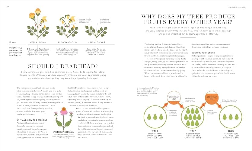 The Science of Gardening: Discover How Your Garden Really Grows thumbnail 7