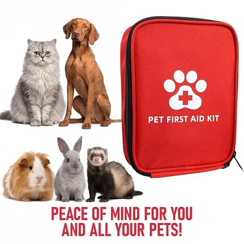 Dog First Aid Kit, Pet Travel Essentials, Emergency Supplies for Cats, Dogs | Travel-Ready Emergency Kit, Portable Kit For Pets, First Aid Pack Compact Safety Essentials for Hiking, Camping & Road Trips thumbnail 6