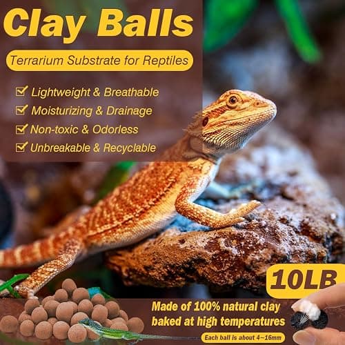 ZeeDix Reptile Substrate Leca Balls - 10LBS Organic Expanded Clay Pebbles, Bioactive Terrarium Bedding for Reptile Tank Habitat Accessories, Ideal for Bearded Dragon, Tortoise, Gecko, Snake & Frog thumbnail 2
