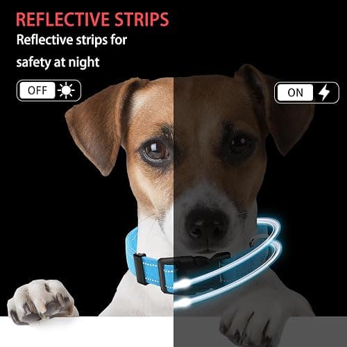 Maiiu Reflective Dog Collar with Safety Locking Buckle (Collar+Leash) | Adjustable Soft Breathable Nylon Collars for Small, Medium and Large Dogs (S Width 5/8" Sky Blue) thumbnail 5