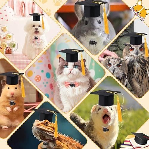 Cat Graduation Caps thumbnail 4